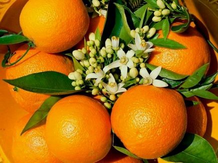 Heavenly smell of oranges