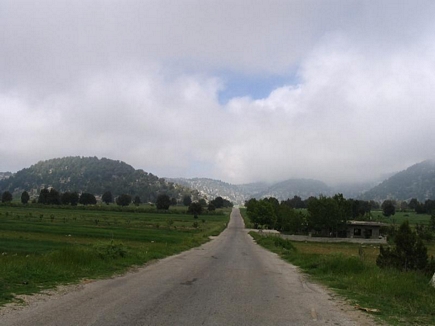 Road To Kamoua Plaines