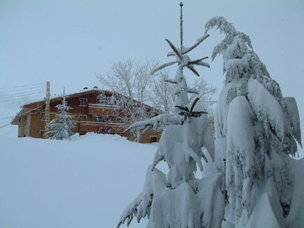 L Auberge Des Cedres - Winter Time