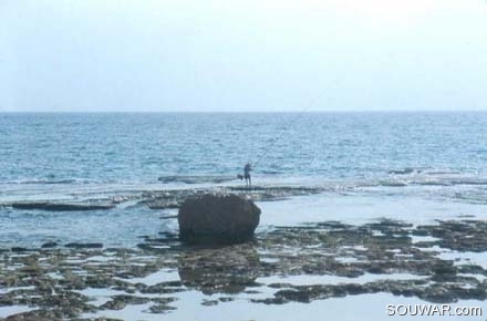 Fisherman in Byblos