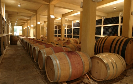 Massaya s wine cellar