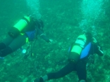 Diving In lebanon