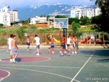 Portemilio Basket