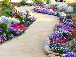 The Road Of Flowers, Batroun Country Club