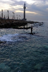 Fishermen at the Beirut Marina