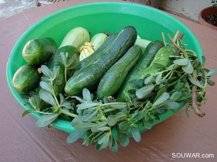 Fruits and Vegetables by Sassine El Nabbout