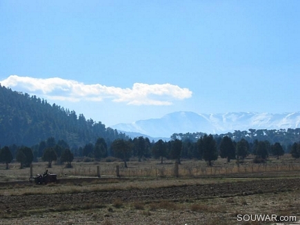 Agricultural Ground In Face Of Mountains