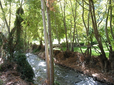 Estwan River , Deir Jannin