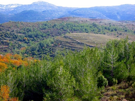 The Forests Of Gebrayel From Above