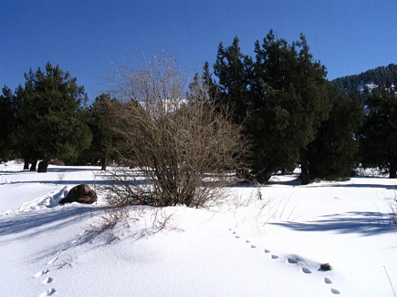 Kamou National Park in Winter