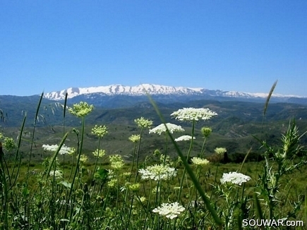 Scenic image Akkarian mountains in the Spring