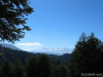 The Western Lebanese Cycle Of Mountains In Automn , From The Apies Forest