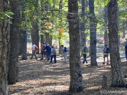 Youth Group Walking In The Iron Oak Forest