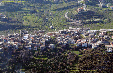 Amioun