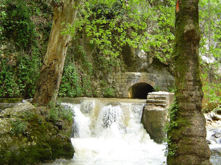 kaftoun