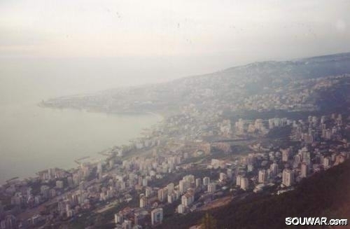 Harissa