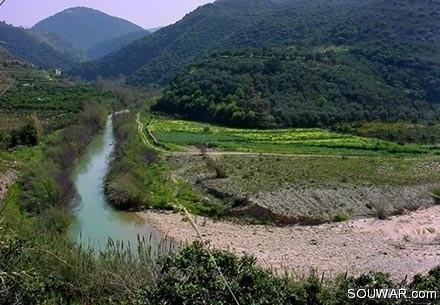 Damour river