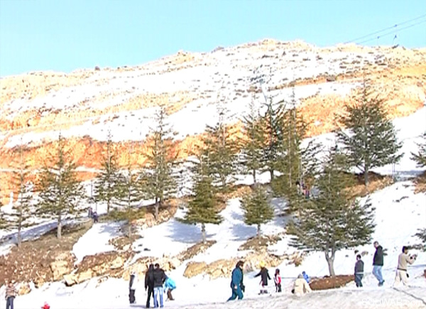 Faraya Mzaar