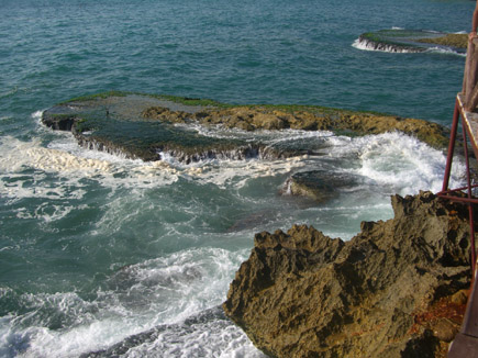 Summer 2008