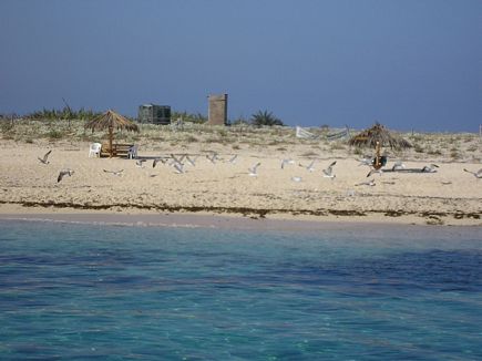 Lebanese Island on the coast of Tripoli