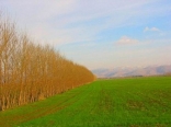 Automn in Lebanon