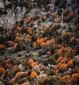 Lebanon