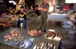 Fish Shop (Masmakeh)
