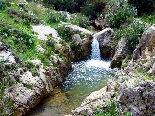 El Dabboura Water Spring , Rahbeh akkar