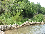 Green & Water , Bazbina Reserve