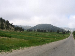 Kamoua National Park, The Biggest Forest In The Middle East - Kamoua Plains