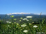 Scenic image Akkarian mountains in the Spring