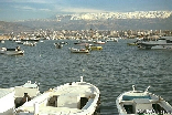 Tripoli, harbour El Mina