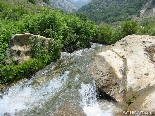 Water Walking In The Reserve Of Bazbina ,Akkar