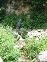 Water Way , Bazbina Reserve