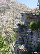 Reserve of Afqa