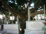Bashoura Cemetery
