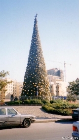 Christmas tree Downtown