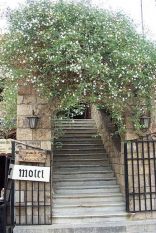 Byblos - the old souk of Jbeil - Cute Motel