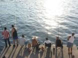 Fishing With My Friends , Dbayeh