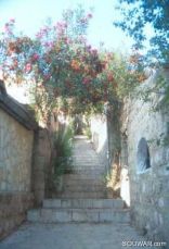 Byblos Stairs