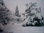 Hammana Under Snow