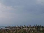 The ruins in the Horizon ( Tyre )