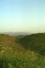 Valley Near Joun