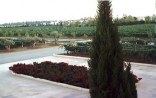 The Vineyard From the offices of Massaya