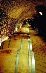Wine Cave in Zahle