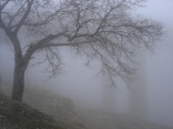 Baaleck in the fog