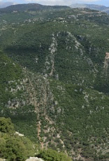 Mount Lebanon Valley